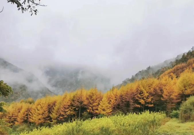 超高性价比川西轻奢路线,领略耀眼的金和漫天的星8