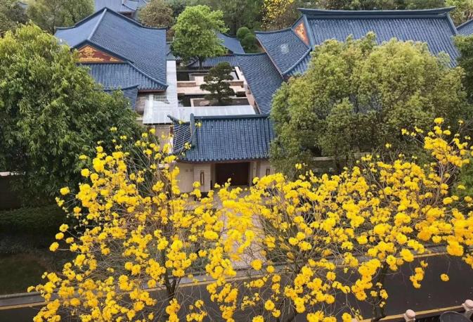 广州从都国际庄园，史上最美庄园别墅7