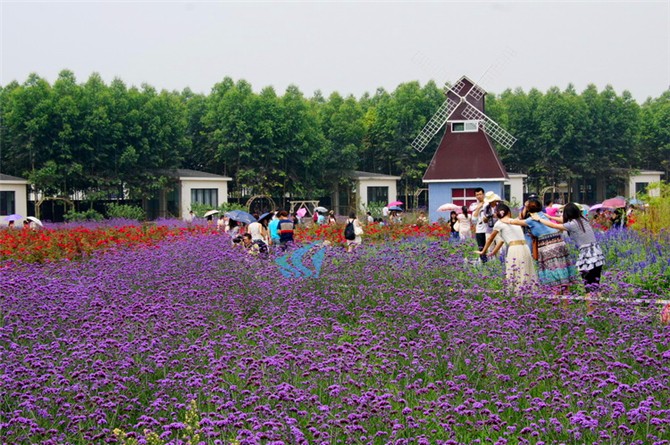 成都周边都有哪些自驾游景点呢？1