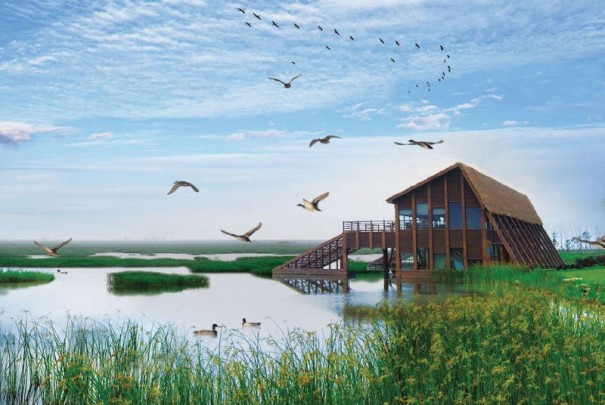 崇明岛在哪里，崇明岛有什么好玩的呢？1