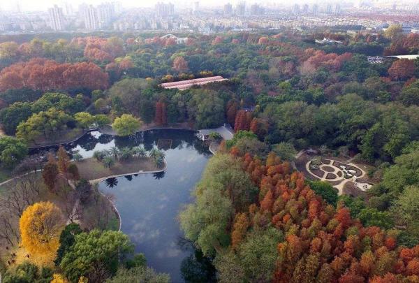 崇明岛在哪里，崇明岛有什么好玩的呢？3