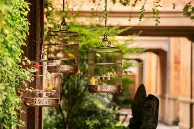 石库门里的旧时光,建业里嘉佩乐梦回老上海27