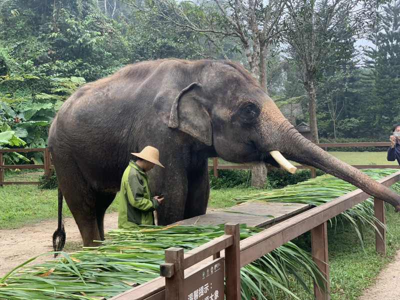 去西双版纳旅游都有哪些热门景点呢?2