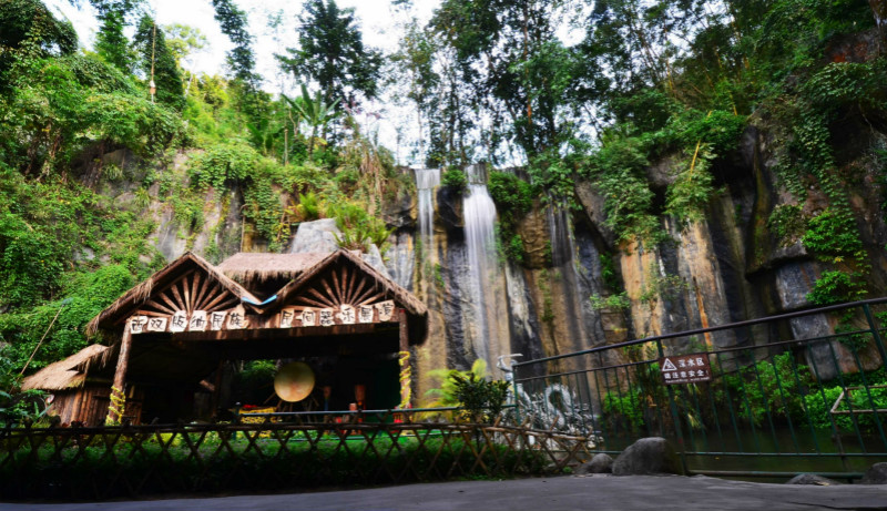 去西双版纳旅游都有哪些热门景点呢?3