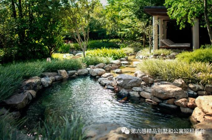 清远芊丽，打造广东顶级奢华温泉度假酒店13