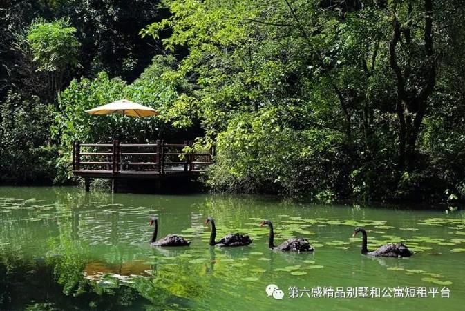 国内几款精品酒店，与你共赴寒冬看雪3