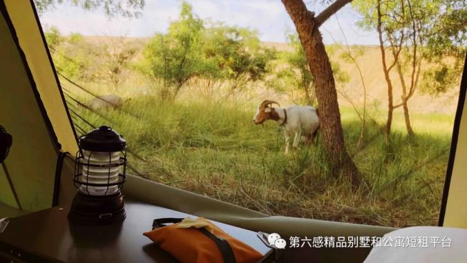 到沙漠星星酒店来,体验最野的奢华营地10