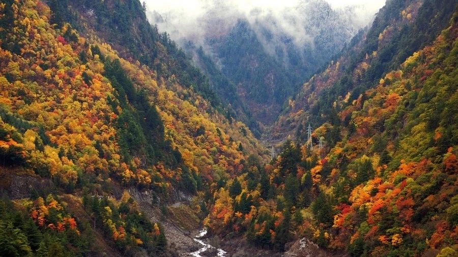 毕棚沟红叶最佳观赏时间是什么时候?6