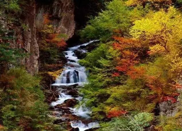 成都周边都有哪些地方可以观赏红叶?1