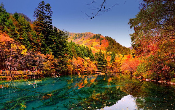 成都周边都有哪些地方可以观赏红叶?3