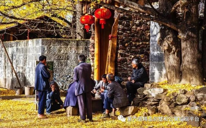 我们去趟腾冲吧,在银杏村下许个愿···3