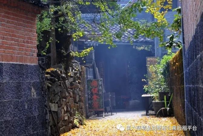 我们去趟腾冲吧,在银杏村下许个愿···5