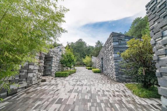 我们去趟腾冲吧,在银杏村下许个愿···17