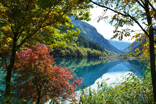 九寨沟赏红叶攻略，感受绚丽多彩的秋季2