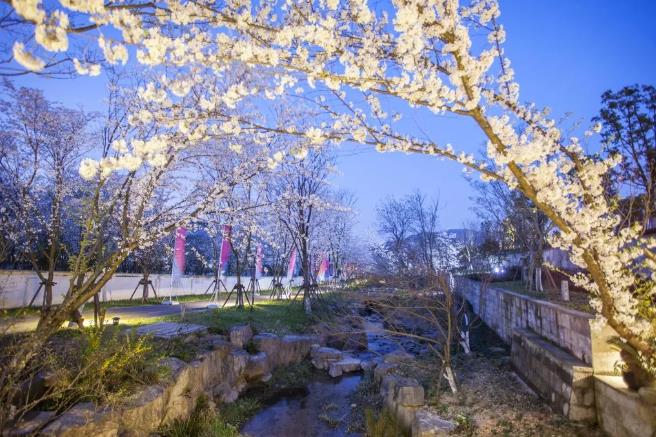 朱家角&兰亭安麓为你提供静谧清雅的避世体验8