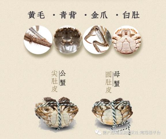 以吃蟹的名义来苏州阳澄湖尽享美食度假之旅吧!3