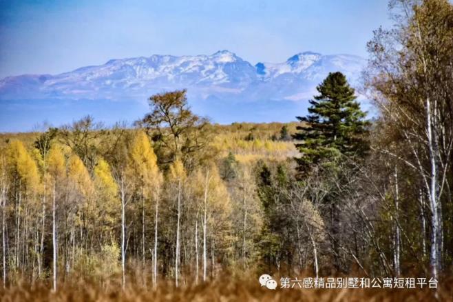 探寻冰雪里的长白山柏悦酒店10