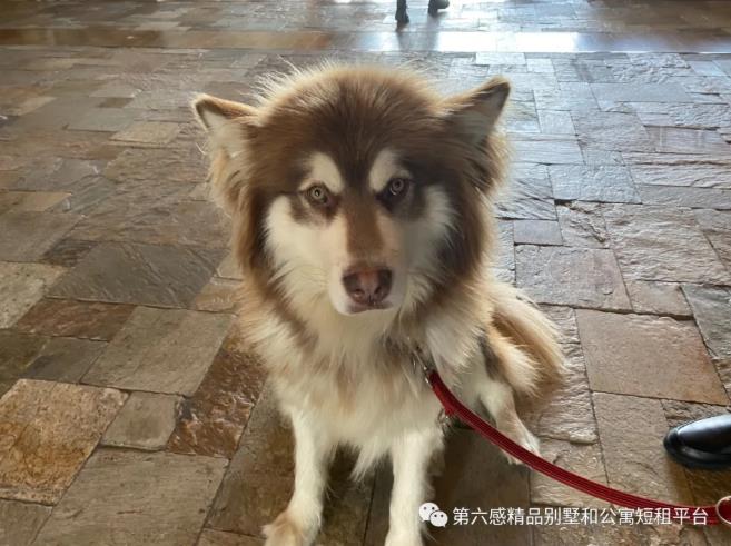 探寻冰雪里的长白山柏悦酒店13