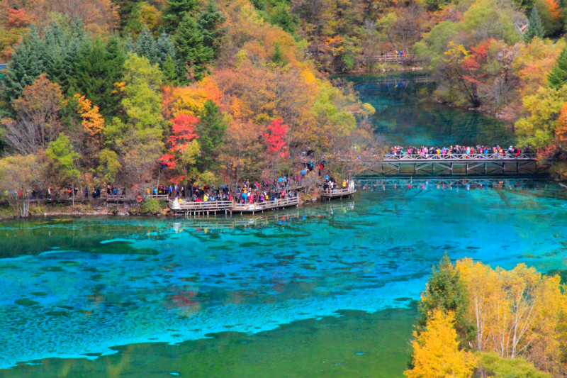 今年疫情影响，元旦去哪里旅游最合适？2