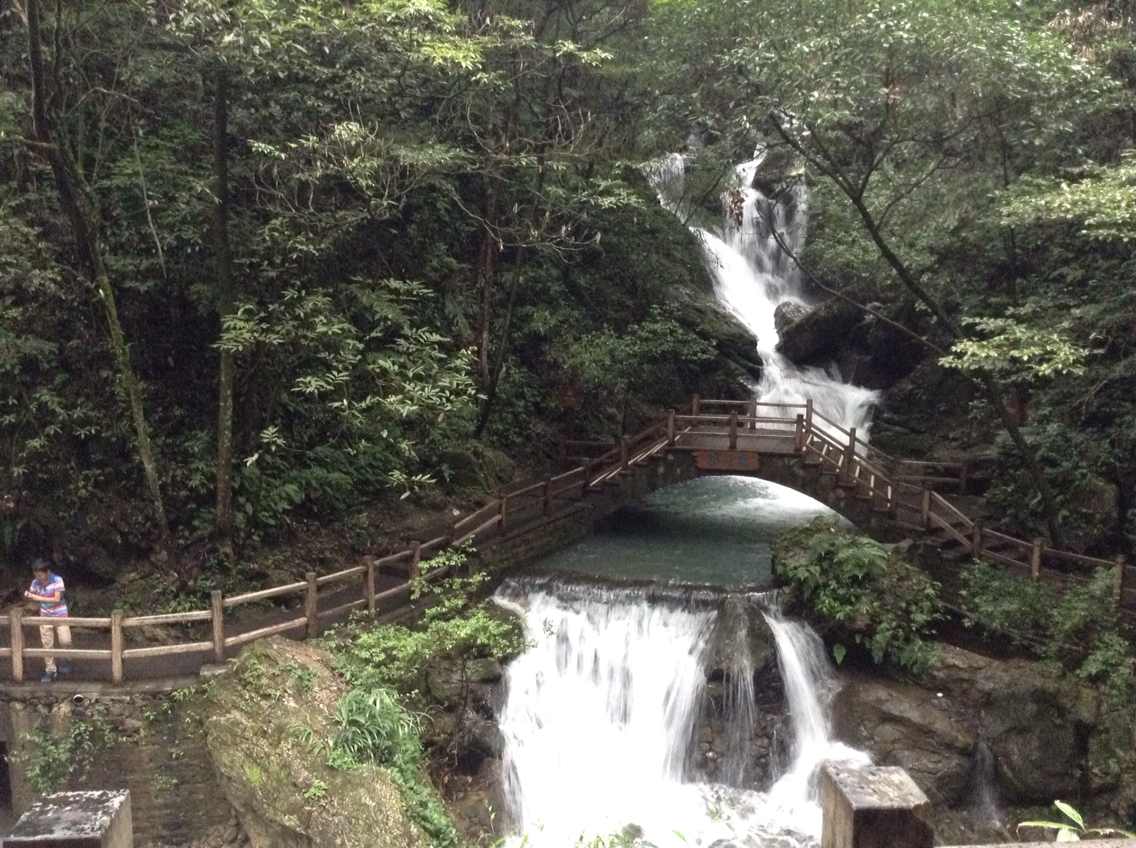 元旦去重庆旅游，哪些好玩的地方？2