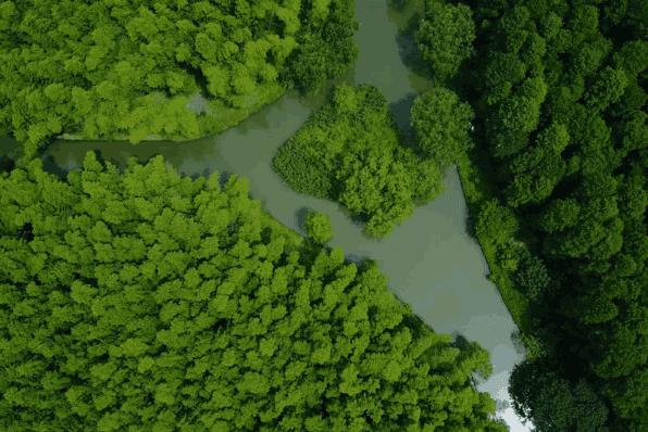 墅家同里社 | 住在苏州“马尔代夫”水上别墅2