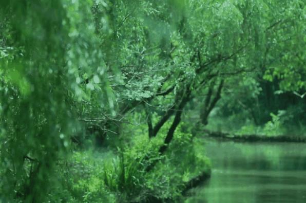 墅家同里社 | 住在苏州“马尔代夫”水上别墅3