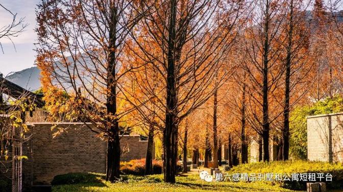 玉龙雪山下 | 一场别致的初秋悦榕之旅6