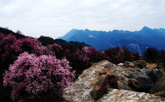 春节成都周边二日游去哪里好?6