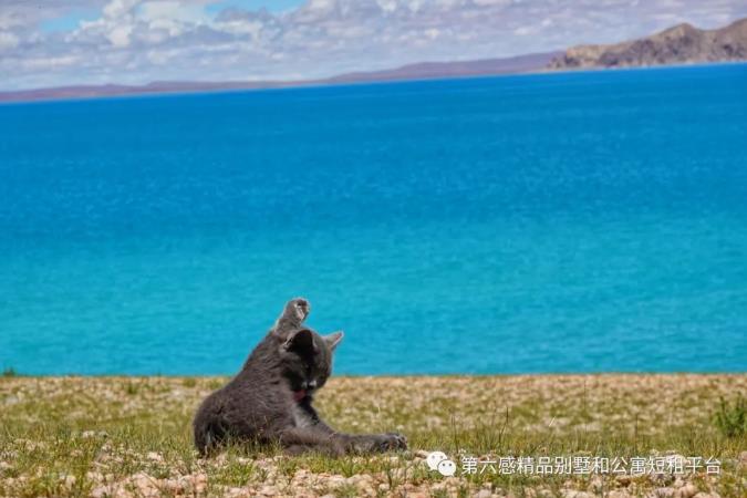深藏Blue，去西藏阿里，从她的天堂路过12