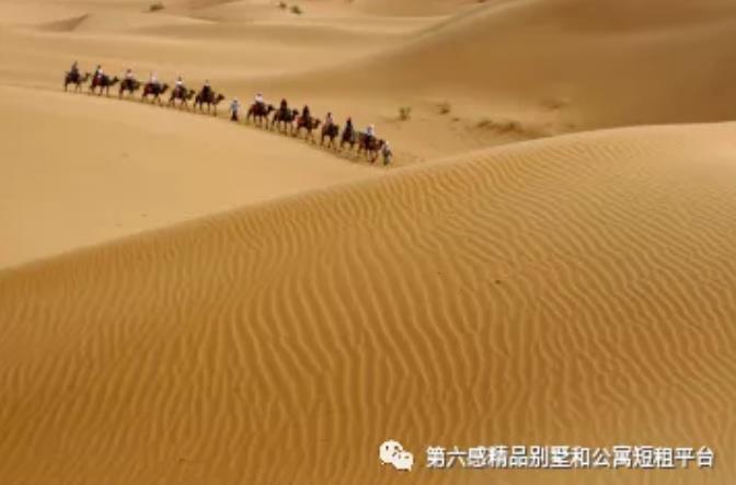 银川7天6晚游|带你领略东方摩洛哥的狂野与浪漫5