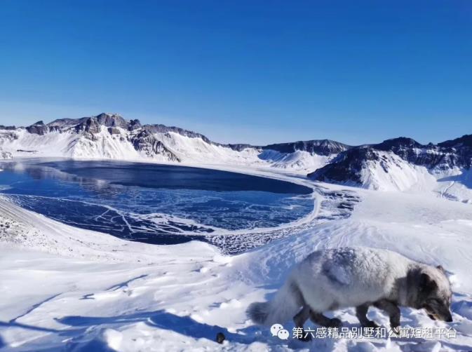 小编带你初探长白山冬季滑雪2