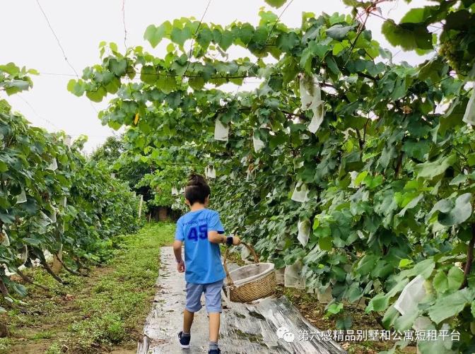 这个冬天国内都有哪些合适去的亲子酒店？26