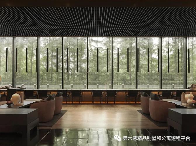 年底去哪玩,上海这几家大牌酒店千万不要错过6