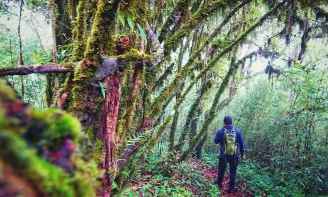 6天5晚轻奢探索自然秘境的腾冲徒步之旅6