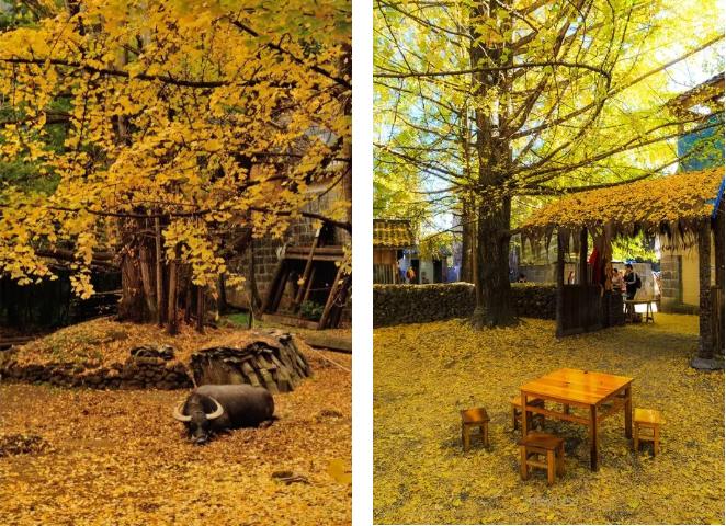 6天5晚轻奢探索自然秘境的腾冲徒步之旅8