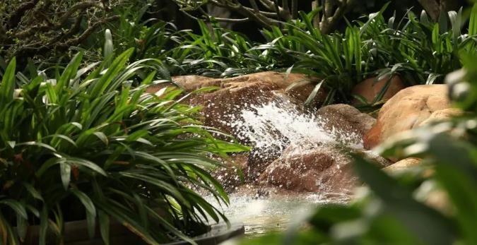 春节抢先订 | 三亚半岭温泉海韵别墅别错过13