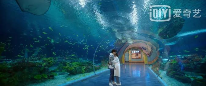 走进上海奢华酒店合辑（1）4