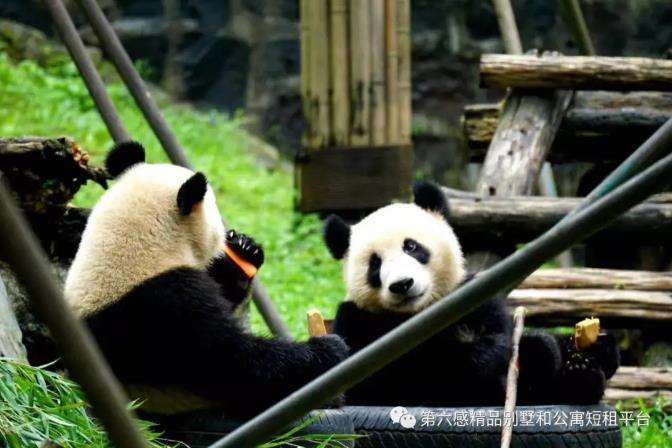 做成都的“守艺人”—寻访逐渐消失的美食和手艺9