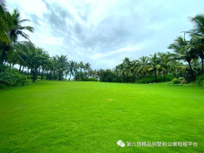 元旦国内旅行,都有哪些酒店可以推荐?13