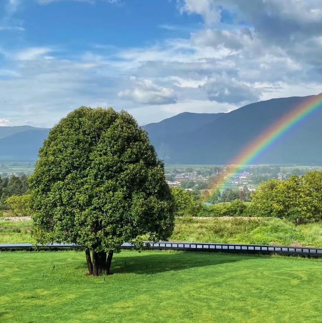去丽江旅游,体验顶级奢华的住宿12