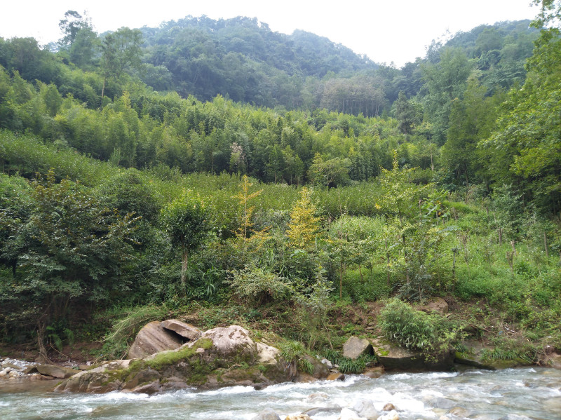 成都九龙沟在哪里？都有哪些景点特色？2