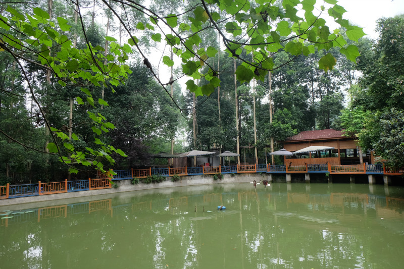 成都三圣乡农家乐都有哪些值得推荐？2