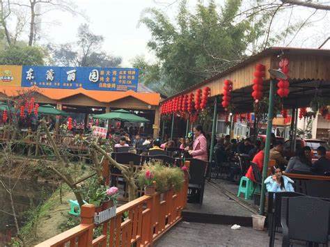 成都三圣乡农家乐都有哪些值得推荐？4