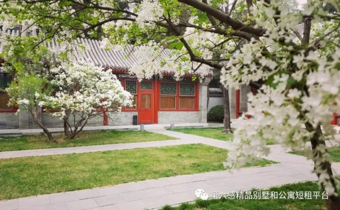 旅游圈有一种痴，叫做“安缦痴”5