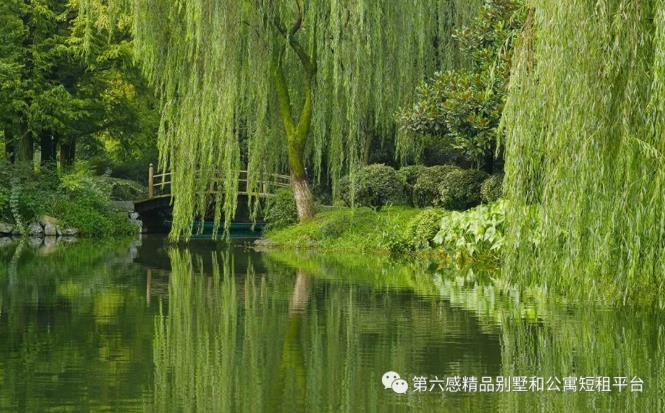 旅游圈有一种痴，叫做“安缦痴”11