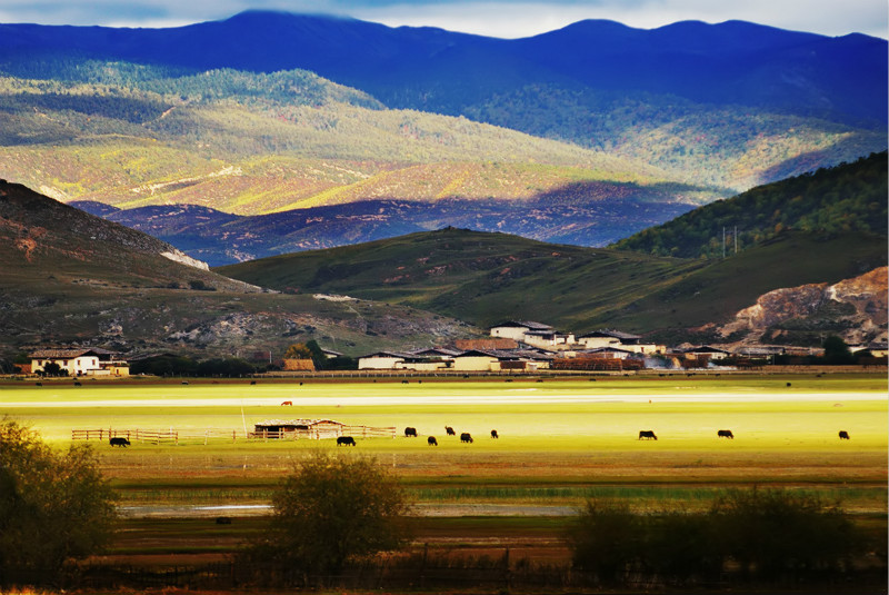 春节到香格里拉旅游攻略,感受一下不一般的“天堂”3