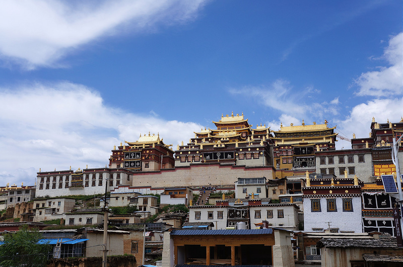 春节到香格里拉旅游攻略,感受一下不一般的“天堂”4