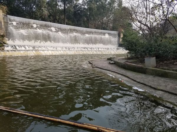 成都动物园在哪？门票多少？1