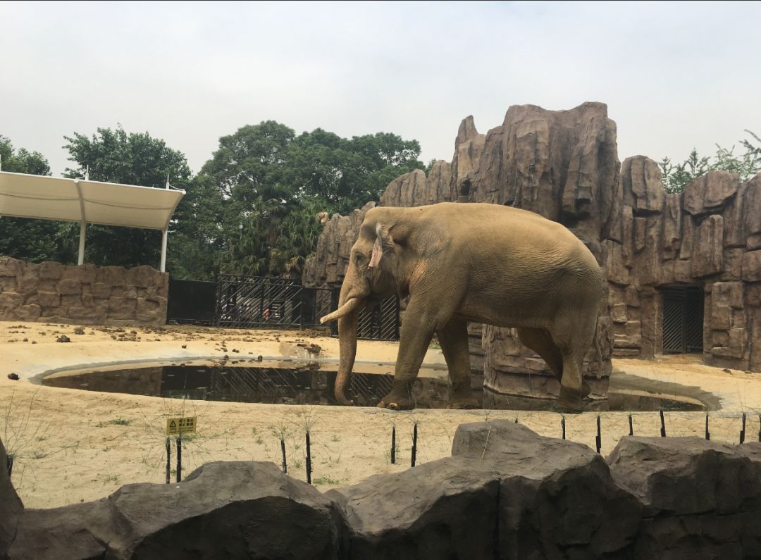 成都动物园在哪？门票多少？3