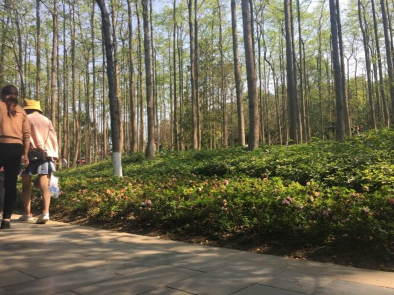 去成都植物园旅游，都有哪些特色景观呢？1